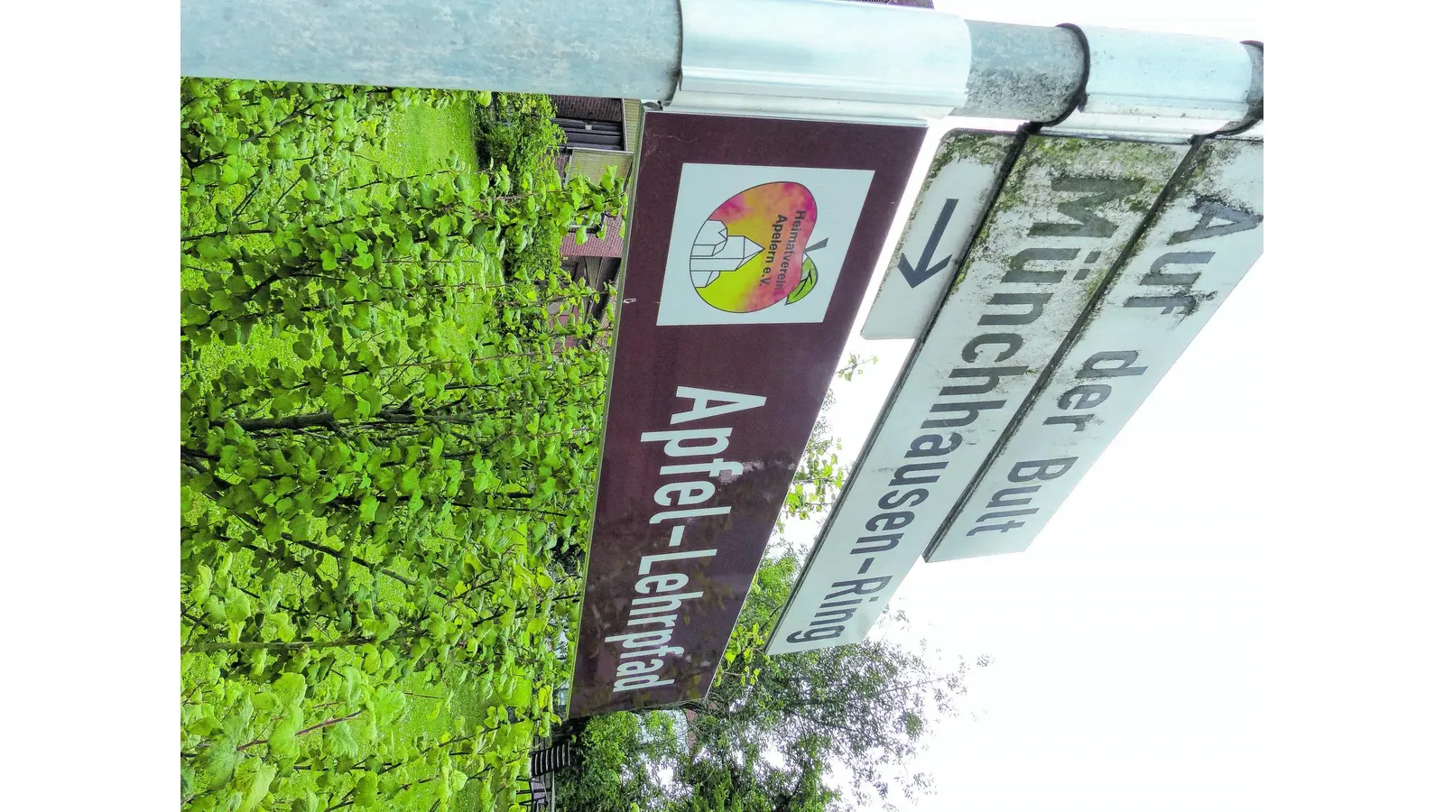 Gute Werbung für die Streuobstwiese (Foto: al)