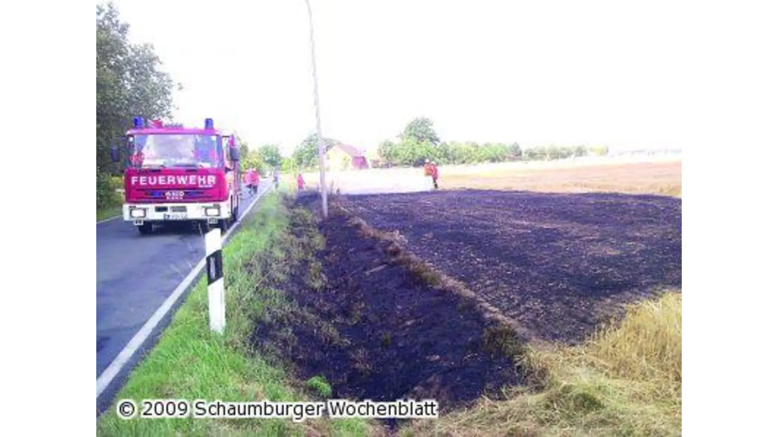 Stoppelfeld brennt lichterloh (Foto: red)