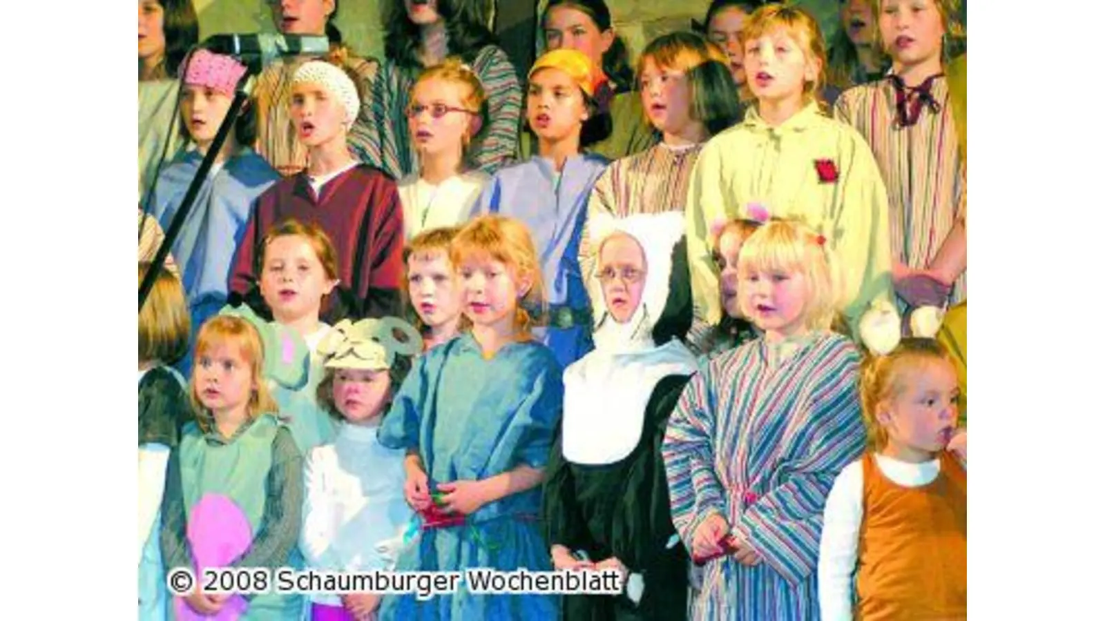 Harfenspieler und Goliathbezwinger (Foto: red)