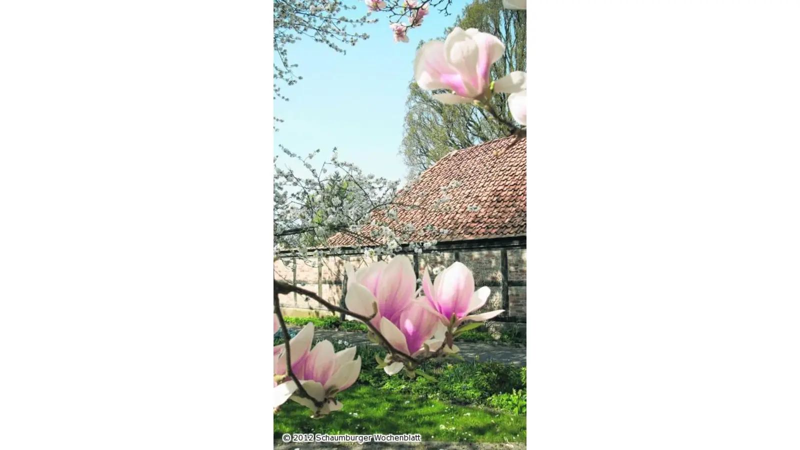 Im Stift beginnt die neue Saison (Foto: ro)