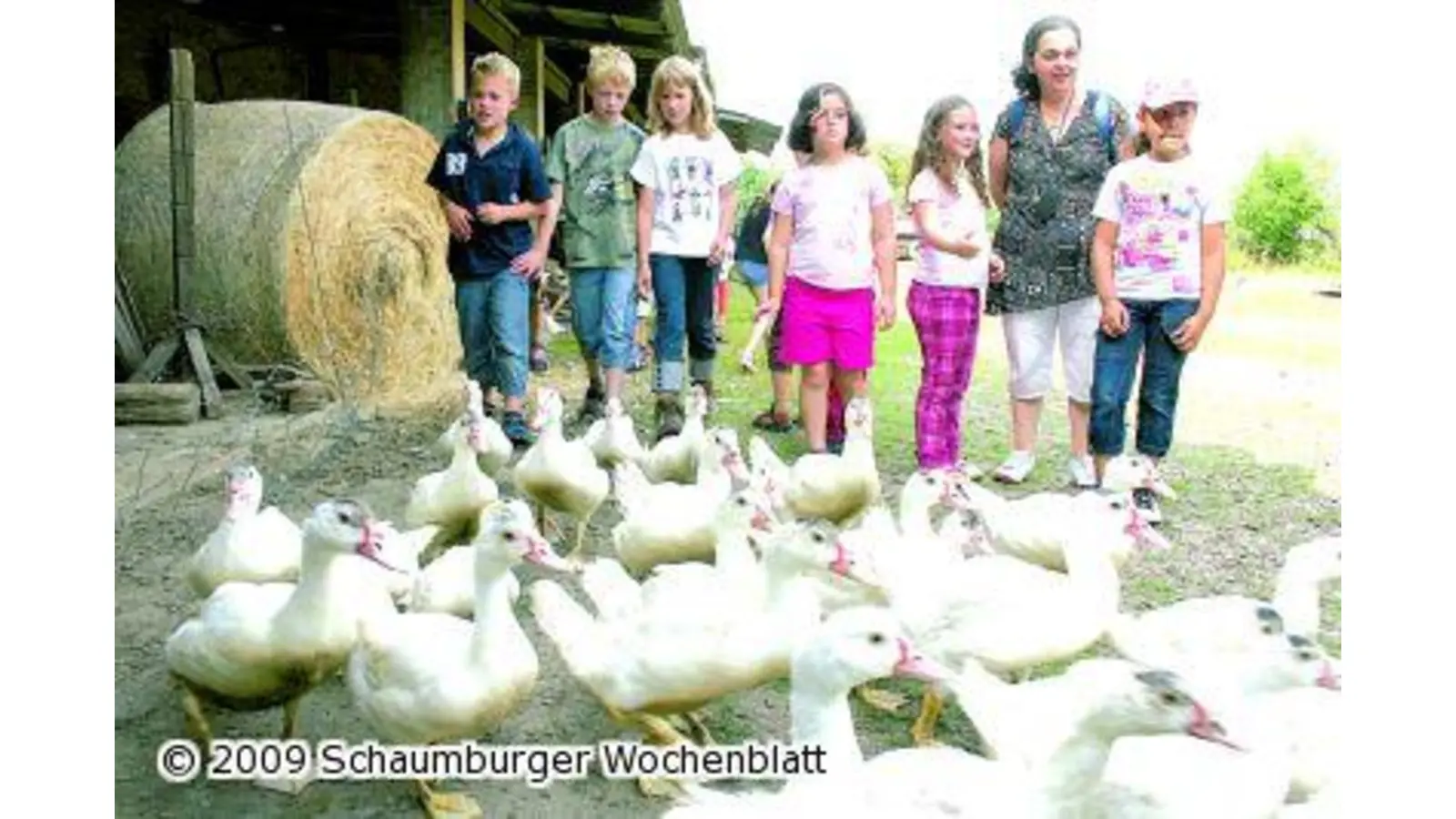 Sogar der starke Gestank kommt an (Foto: mr)