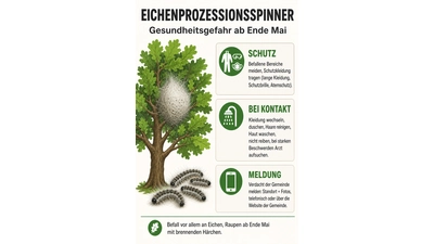 Infos zum Eichenprozessionsspinner zusammengefasst. (Foto: KI)