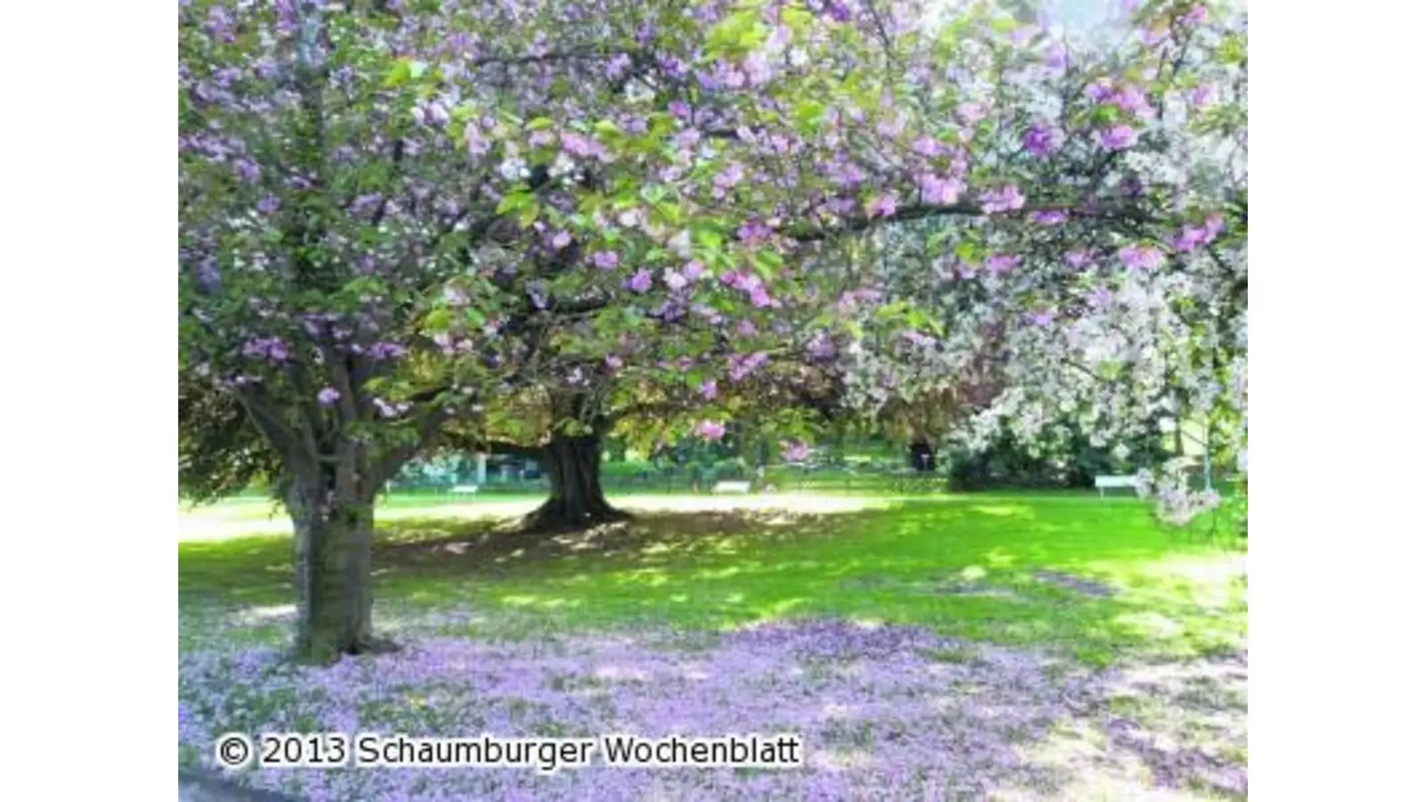Ein Genuss für die Sinne (Foto: pd)