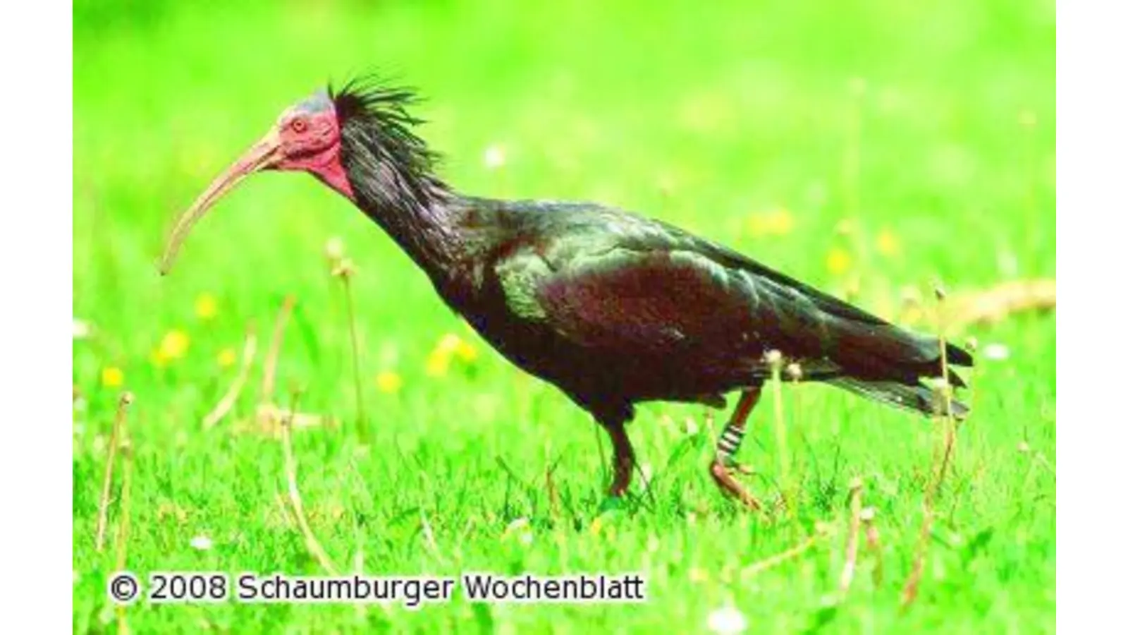 Diavortrag Salzkammergut (Foto: red)
