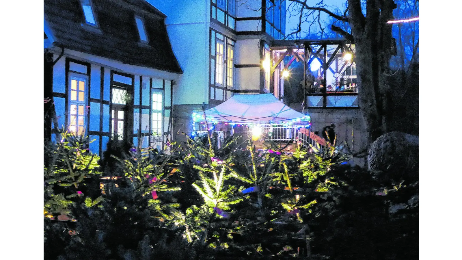 Alternativer Weihnachtsmarkt (Foto: gr)