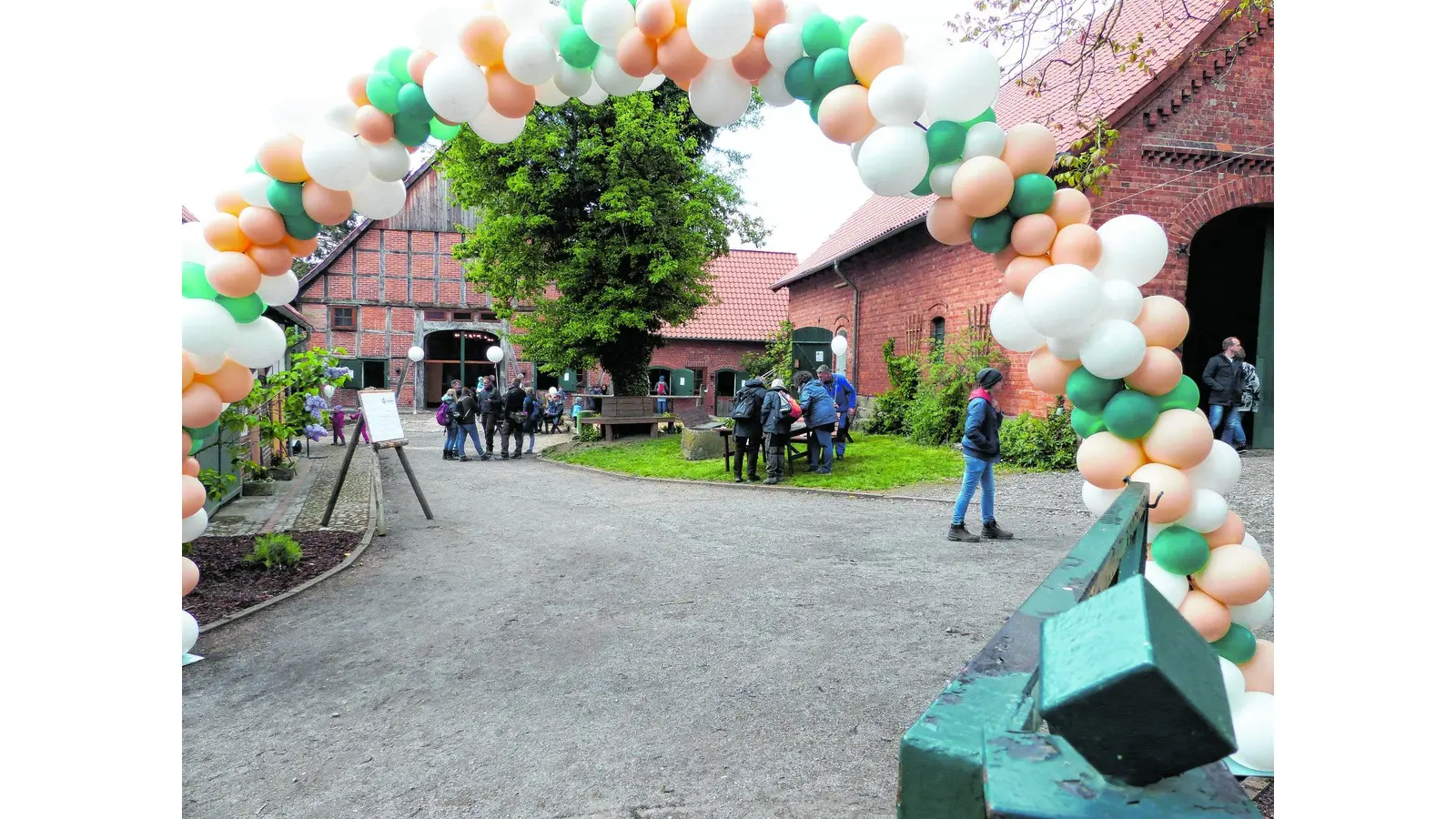 Der Wilhelmshof wird zum Magnet (Foto: al)