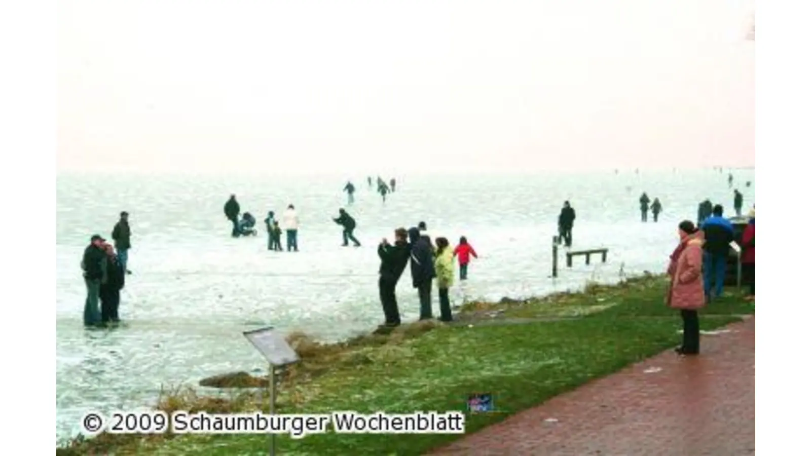 21-Jähriger bricht ein (Foto: gi)