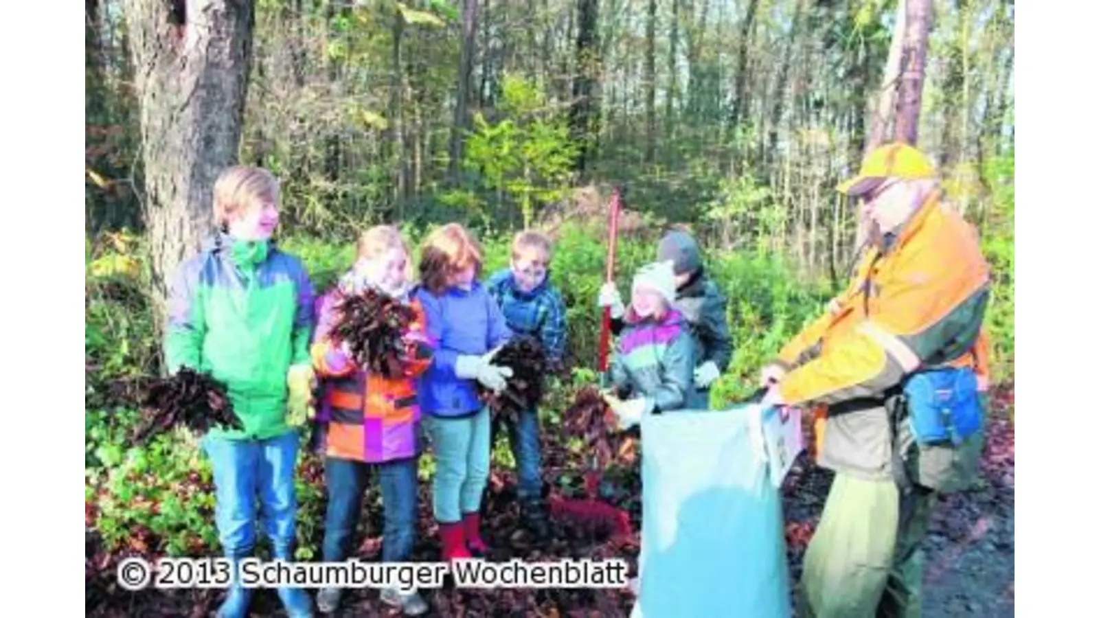 Schulkinder fegen den Wald (Foto: ag)