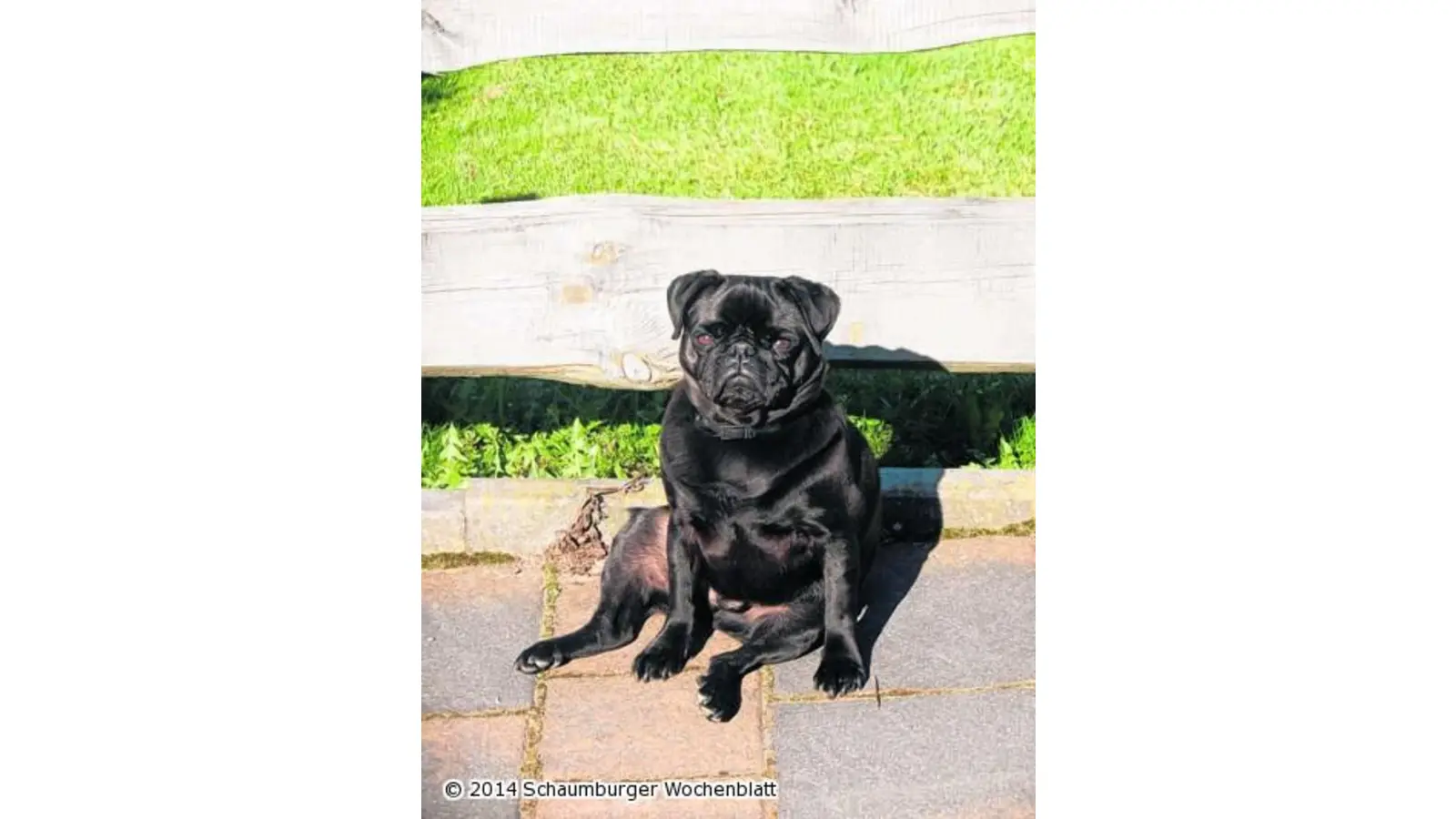 Mitgefühl macht sprachlos (Foto: jl)