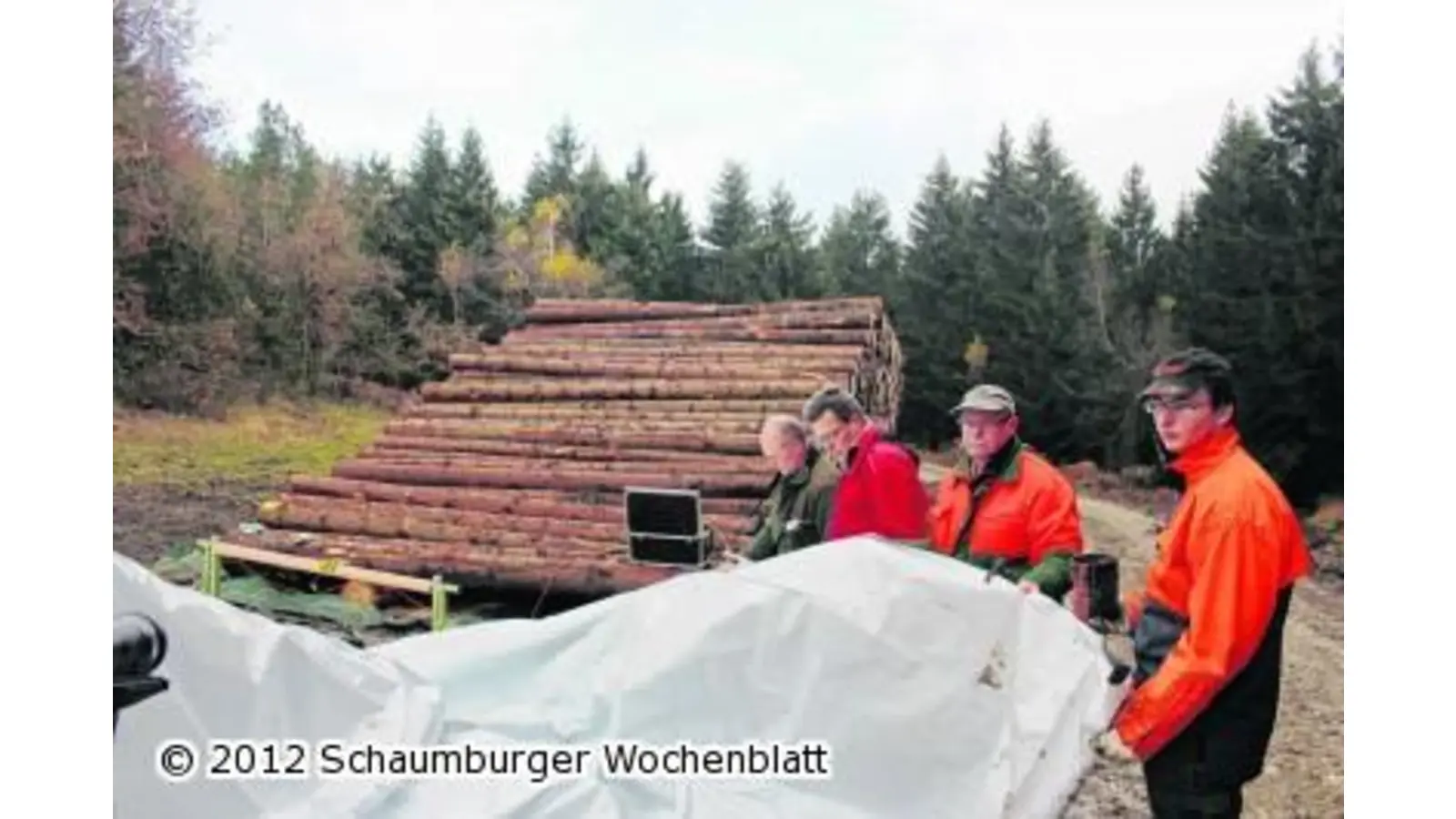Holz in Folie gepackt (Foto: em)