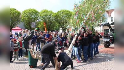 Die Cointräger hoffen wie ihre Unterstützer auf viele Besucher beim diesjährigen Maifest auf dem Amtsplatz. Das Aufstellen des Maibaumes durch die Dragons wird einer der Höhepunkte der Veranstaltung sein. <br><br> (Foto: Borchers, Bastian)