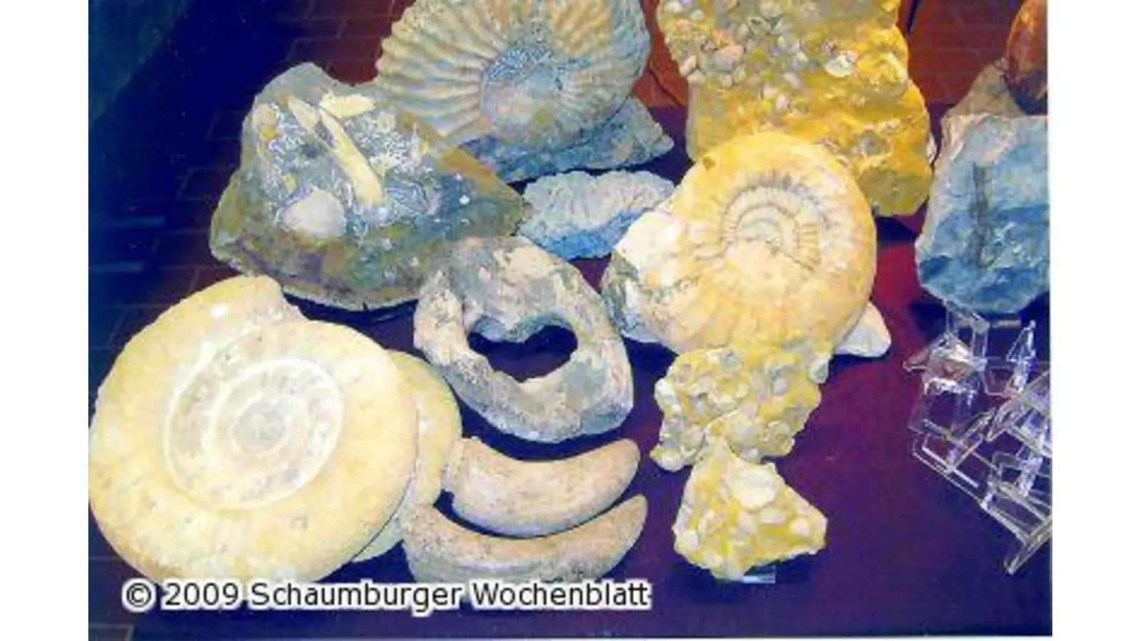 Schätze der Erde (Foto: red)