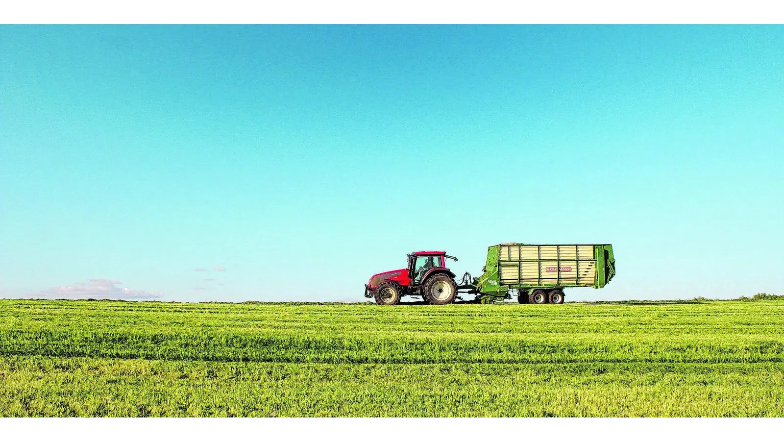 So trifft die Pandemie die Landwirtschaft bei uns (Foto: jb)