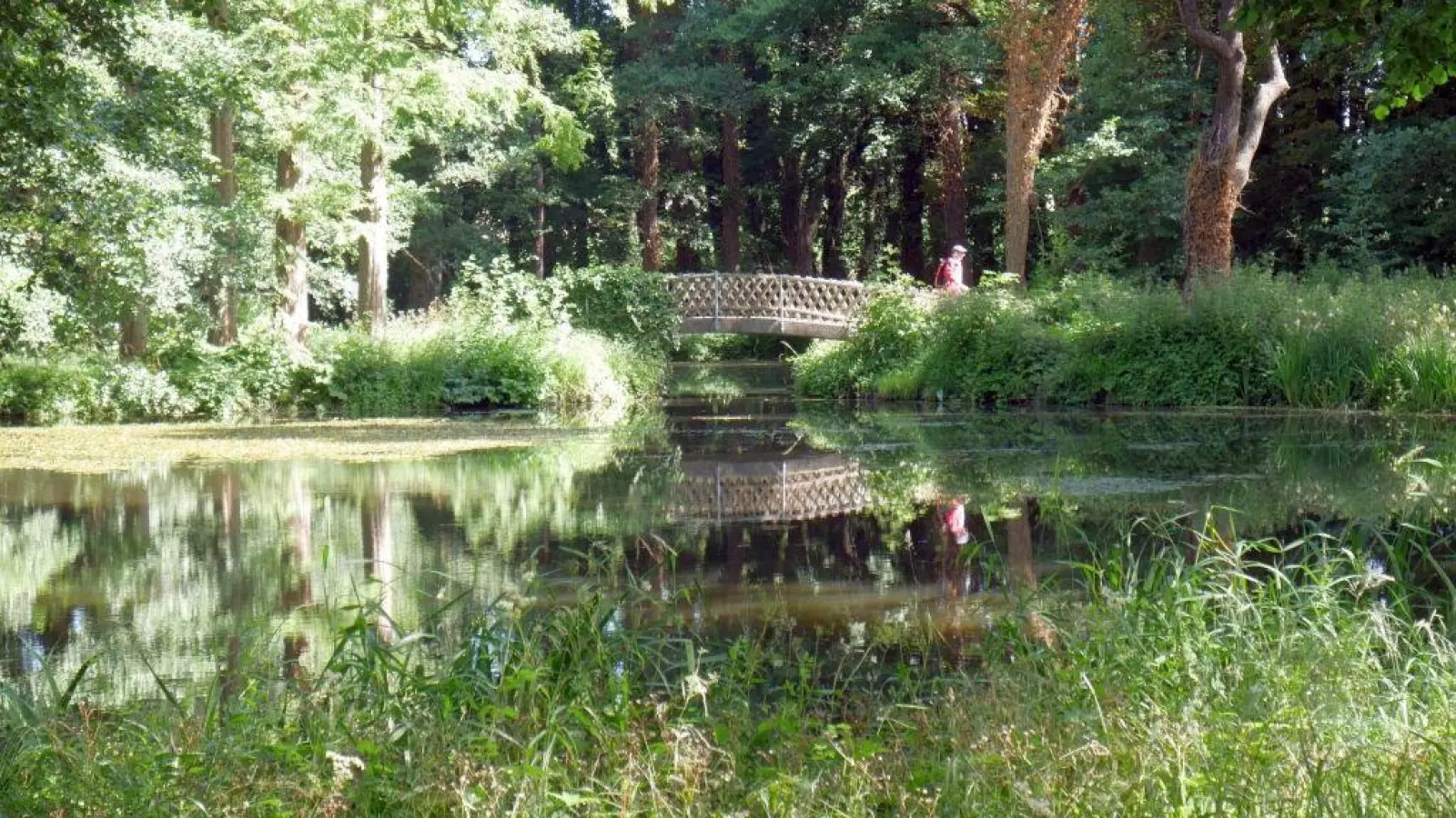 Der Erlengrund gehört zum großen Erlebnisbereich des Deistertages. (Foto: gk)