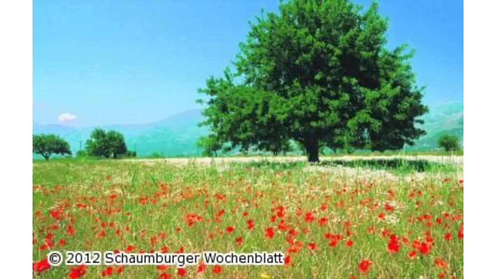 Dia-Vortrag über Kreta (Foto: red)