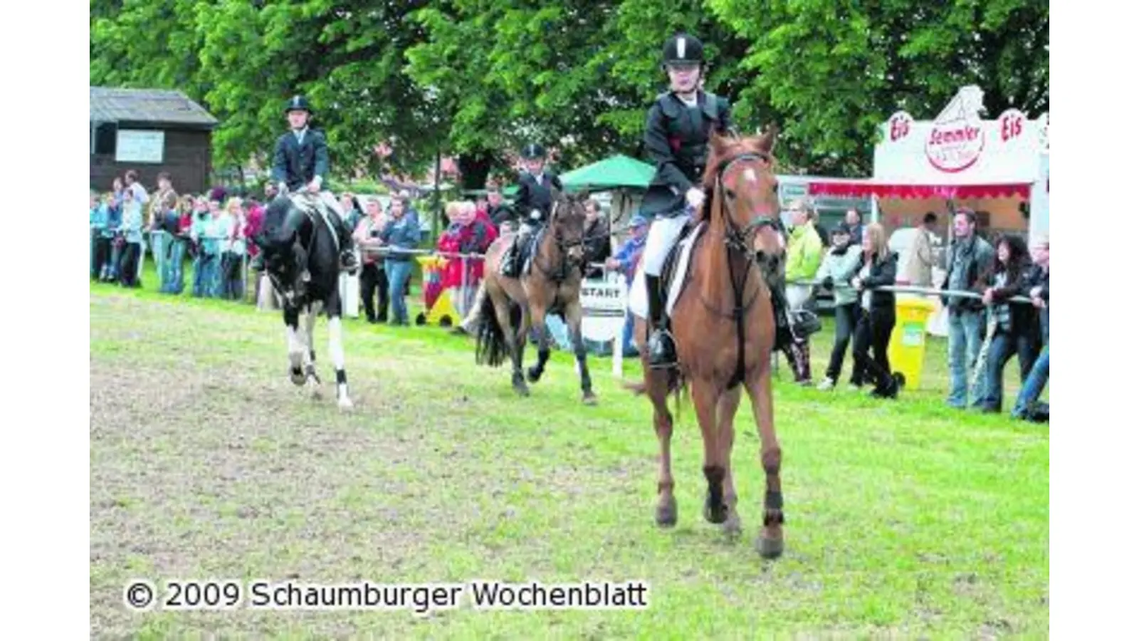 Jedes Jahr eine Qualitätssteigerung (Foto: red)
