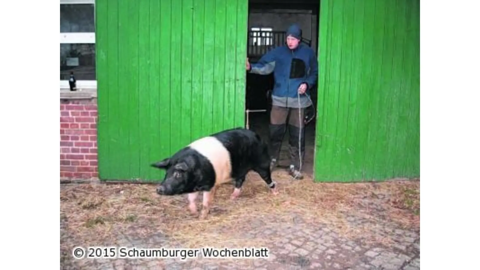 Eolendörper Schlachtefest (Foto: ste)
