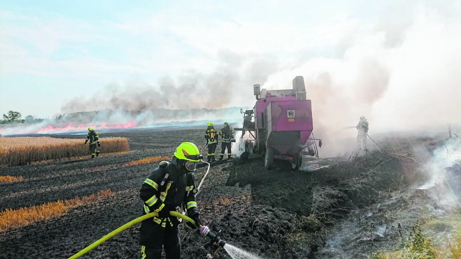Feuer bedroht fast die Artenschutzstation (Foto: jb)