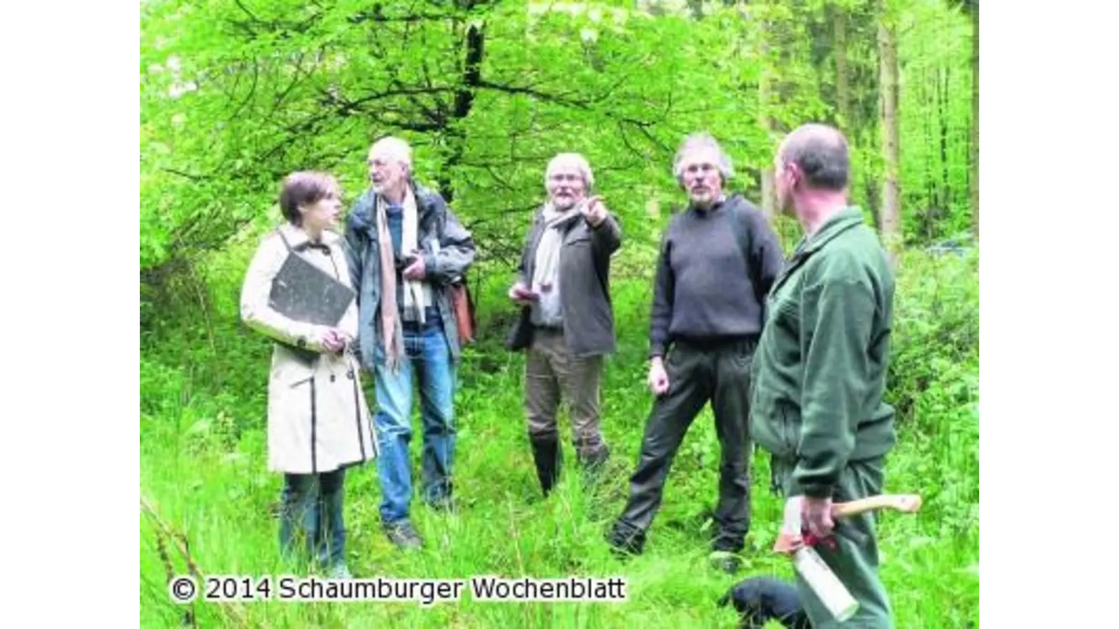 Der Wald gibt sein Geheimnis preis (Foto: al)