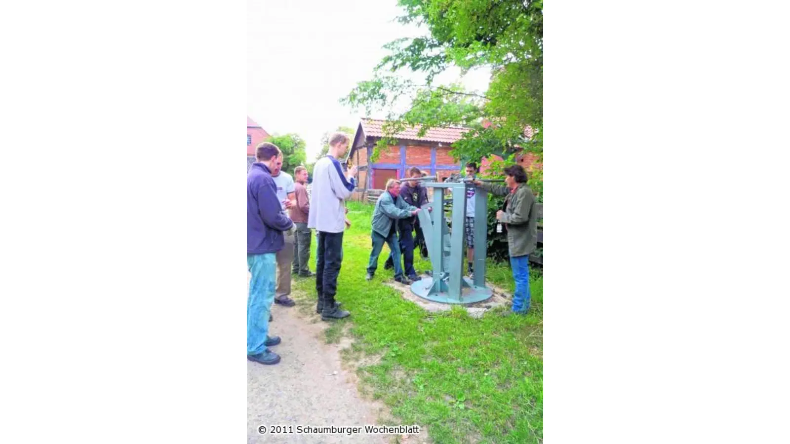 Es blühen die Pfingstbäume (Foto: red)