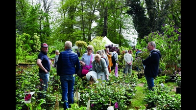 Die „Pflanzentage” auf dem Rittergut Remeringhausen werden die Besucher mit verschiedensten Ideen für den eigenen Garten inspirieren.  (Foto: privat)