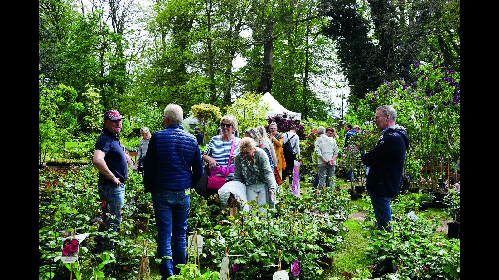 Die „Pflanzentage” auf dem Rittergut Remeringhausen werden die Besucher mit verschiedensten Ideen für den eigenen Garten inspirieren.  (Foto: privat)