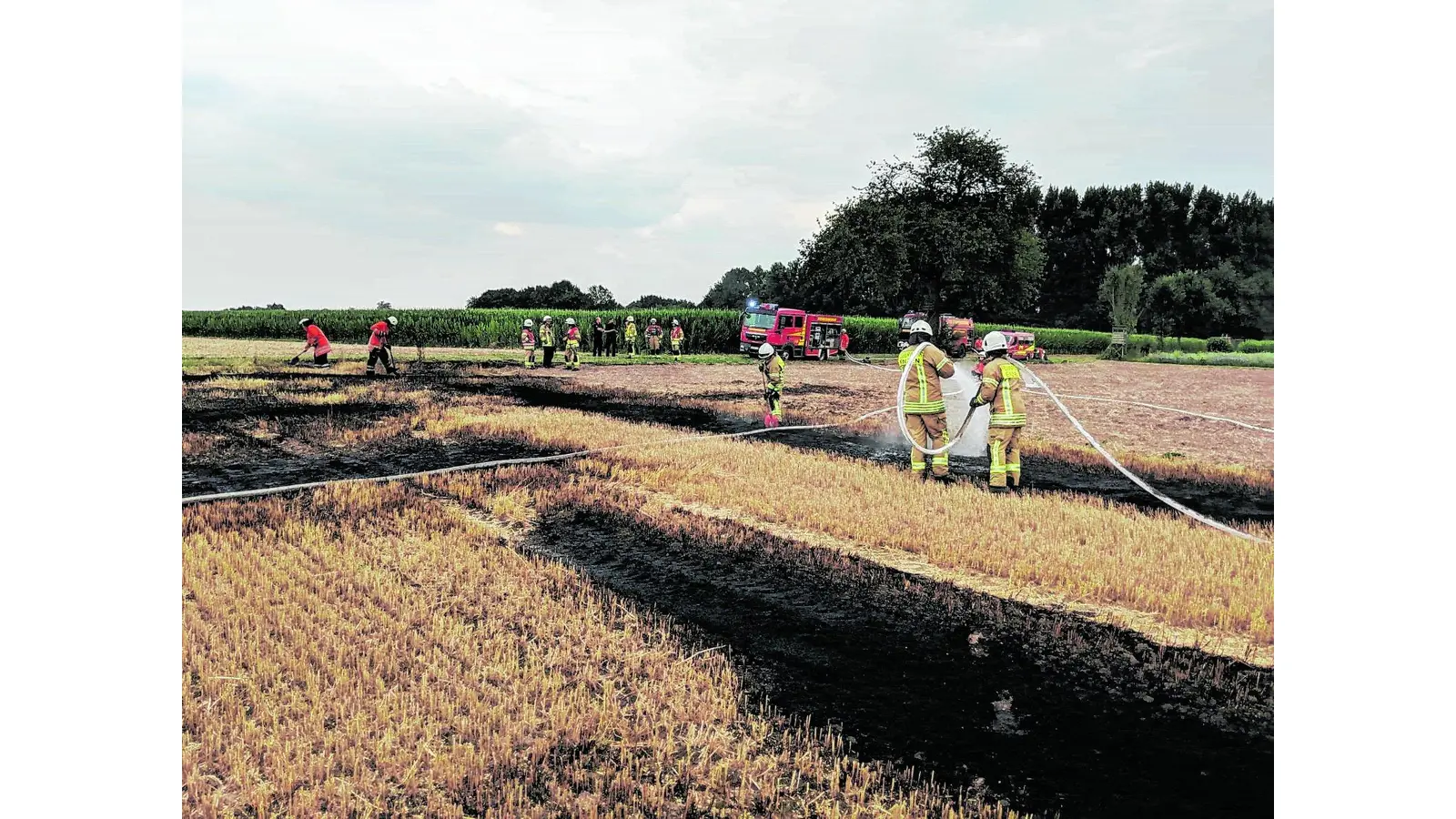 Feuer auf einem Getreidefeld (Foto: mm)