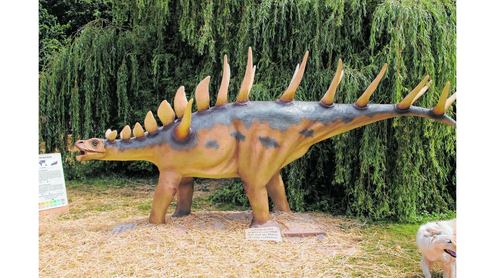 Dinosaurier fahren im Kreisverkehr (Foto: nh)