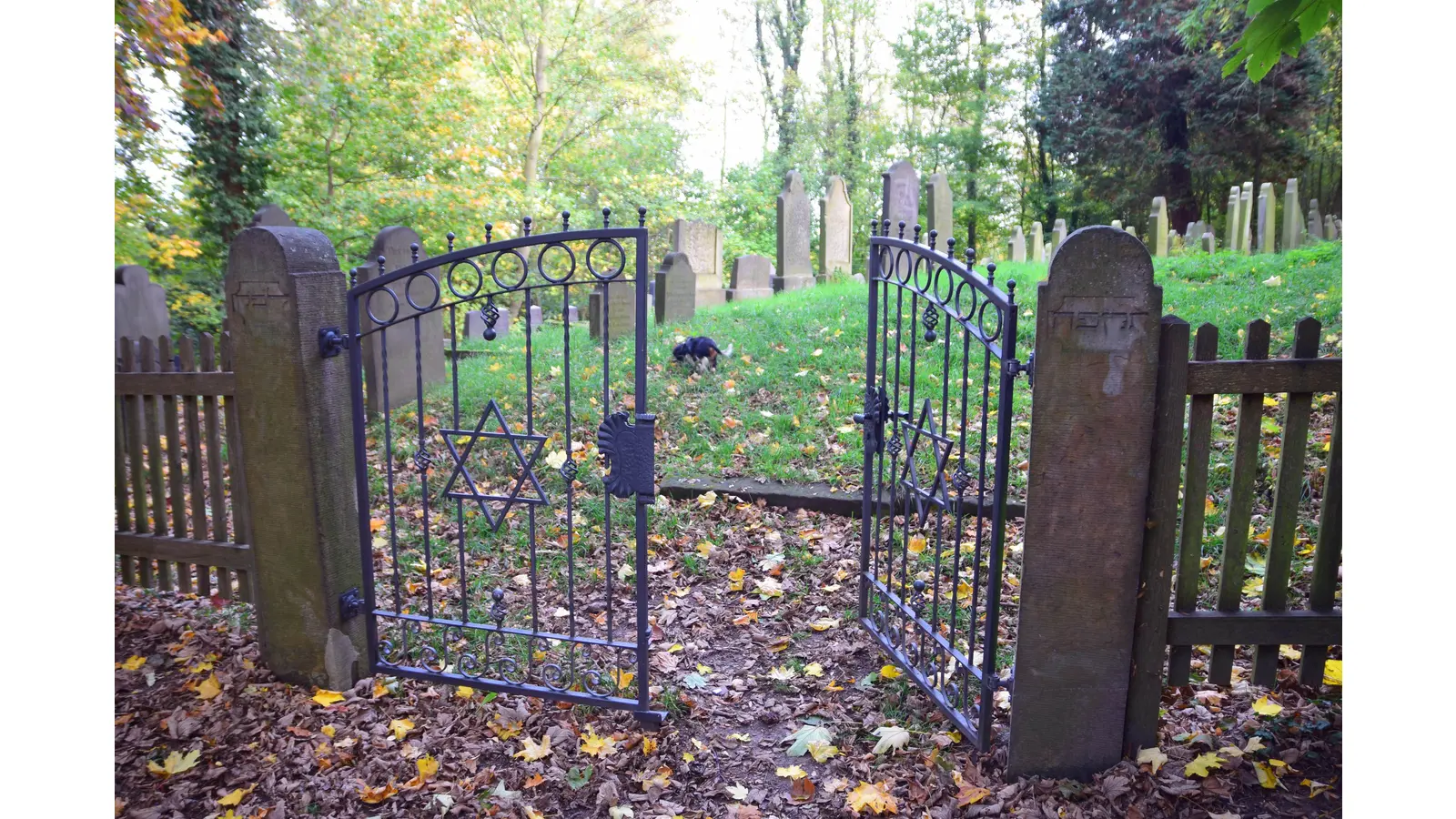Der jüdische Friedhof in Bückeburg. (Foto: privat)