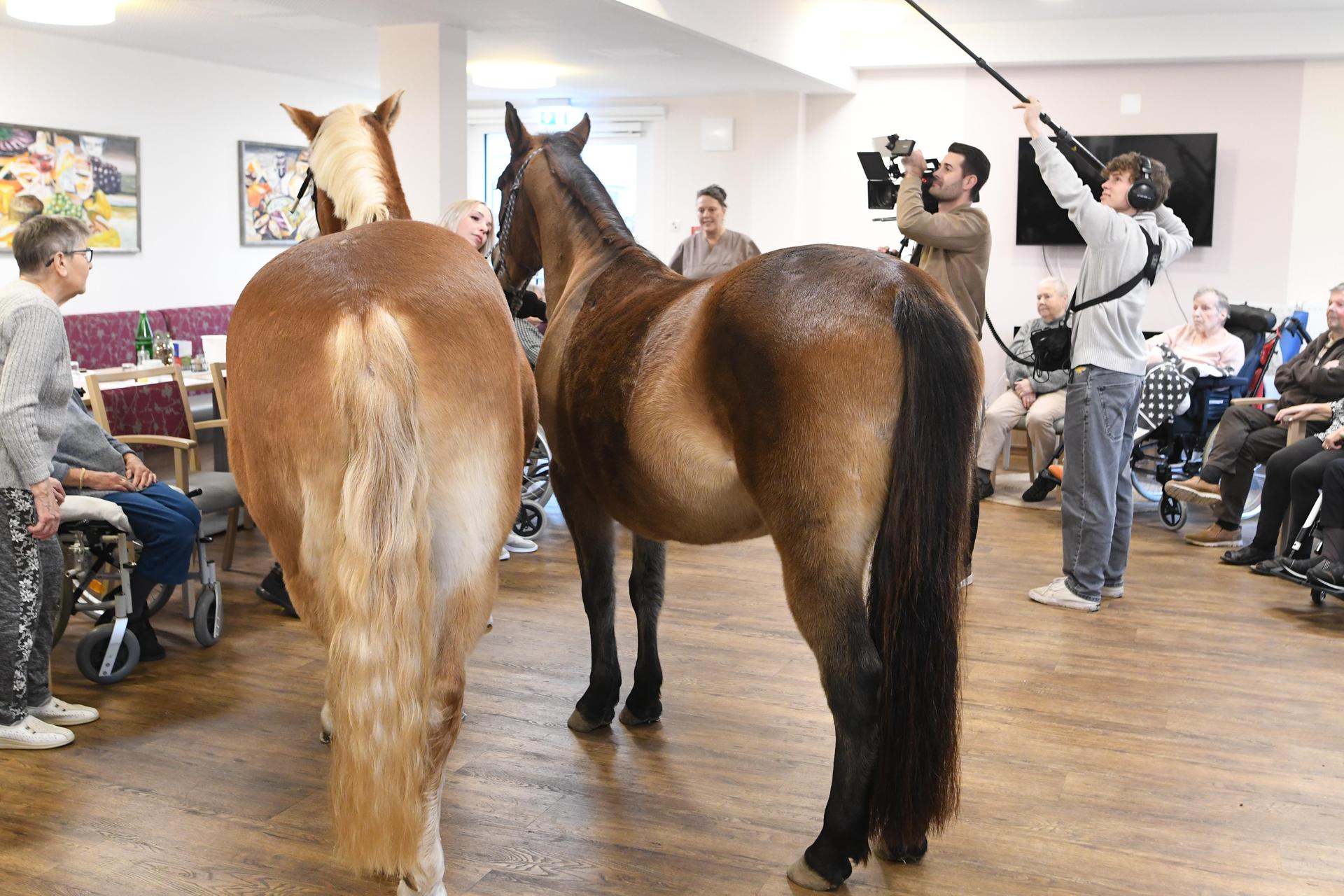 Pony Wega und Nele Plaßmeier (Foto: nd)