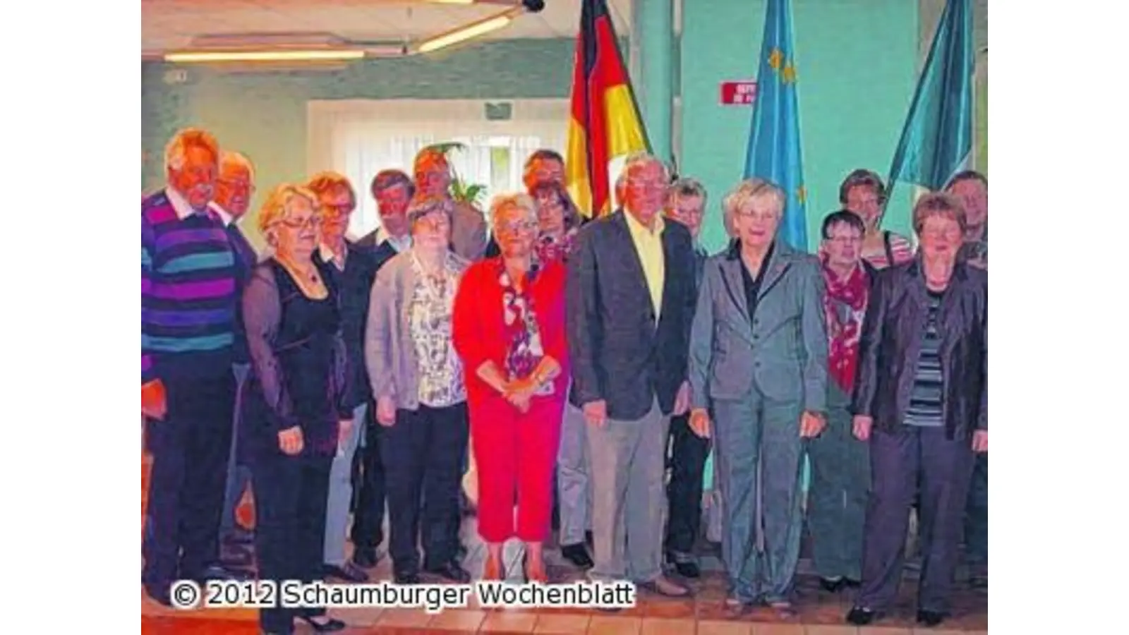 Bisons grasen auch in der Normandie (Foto: em)