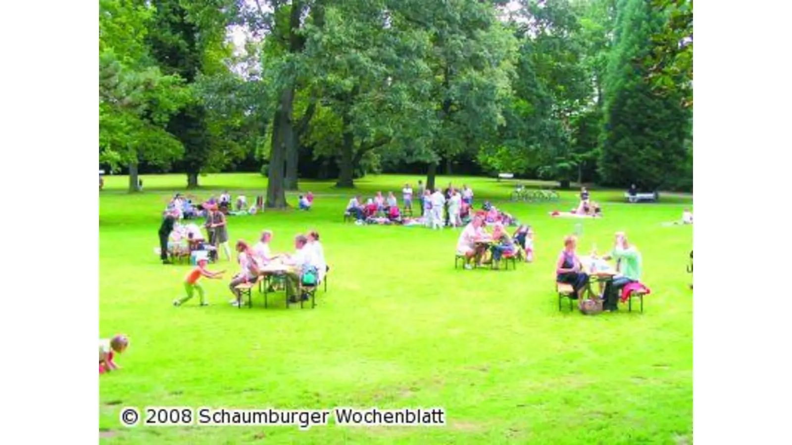 Familienpicknick mit Livemusik (Foto: red)