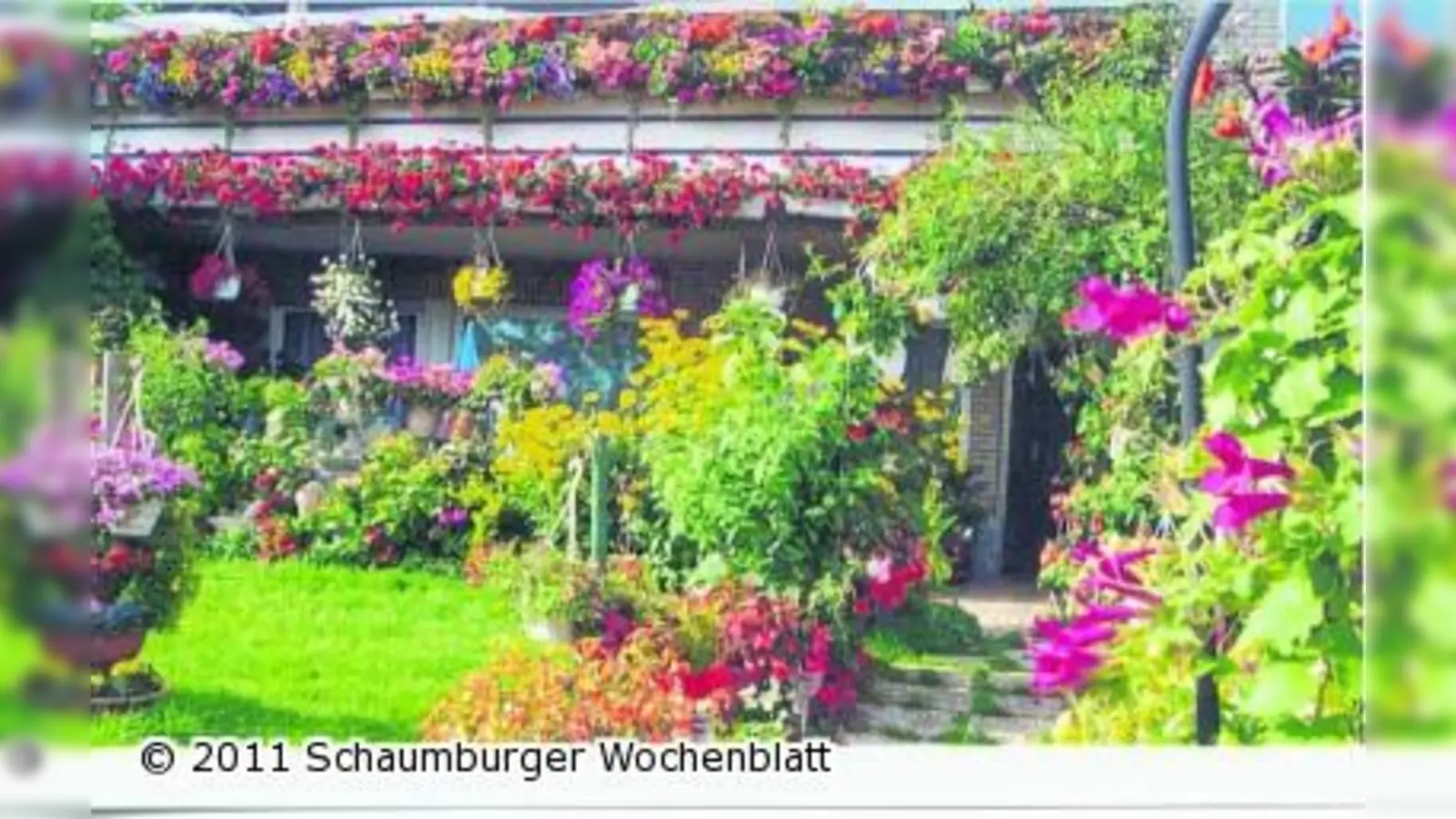 Schaumburg Fünfer für die schönste Blumenpracht (Foto: ste)