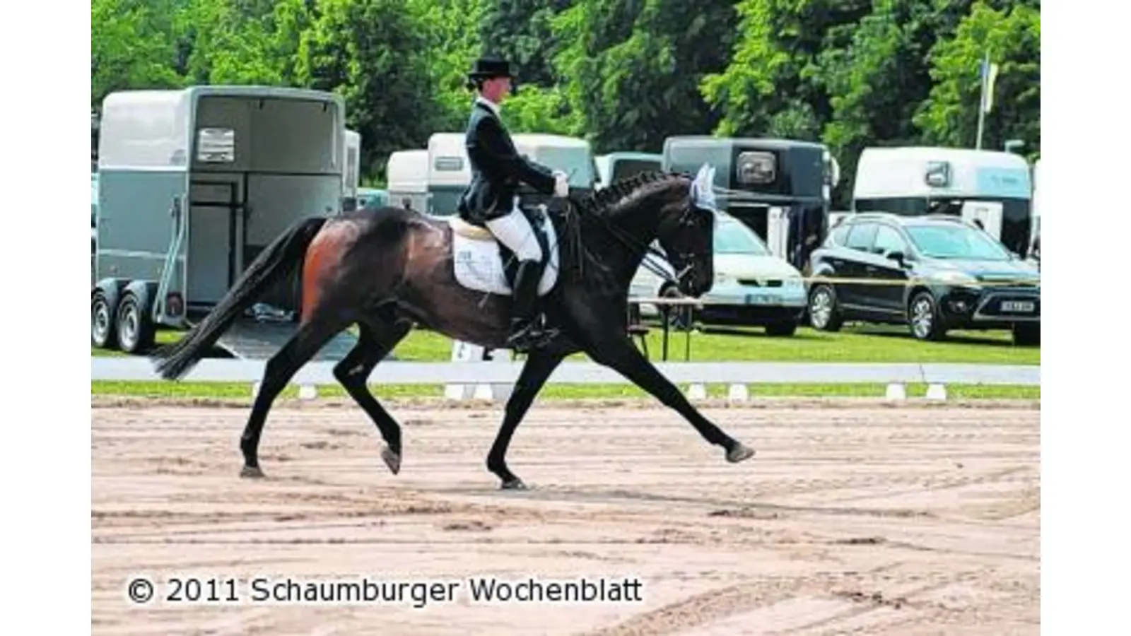 Sechs Starts und sechs Erfolge (Foto: mk)