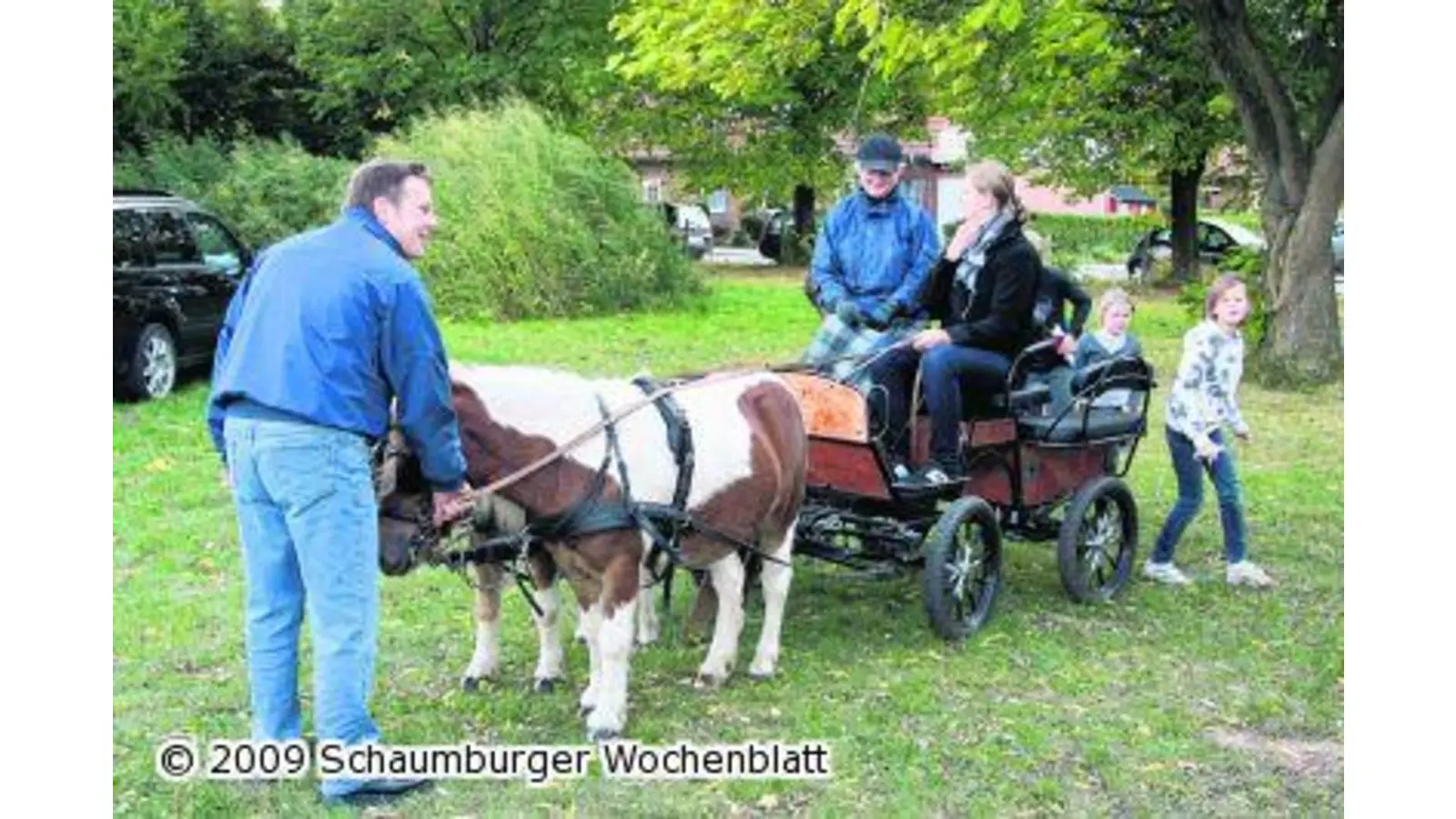 Besucher entdecken die Welt der Pferde (Foto: pp)