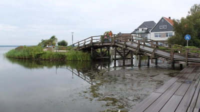 Steinhuder Meer: Geringer Wasserstand und Schlamm. (Foto: wb)