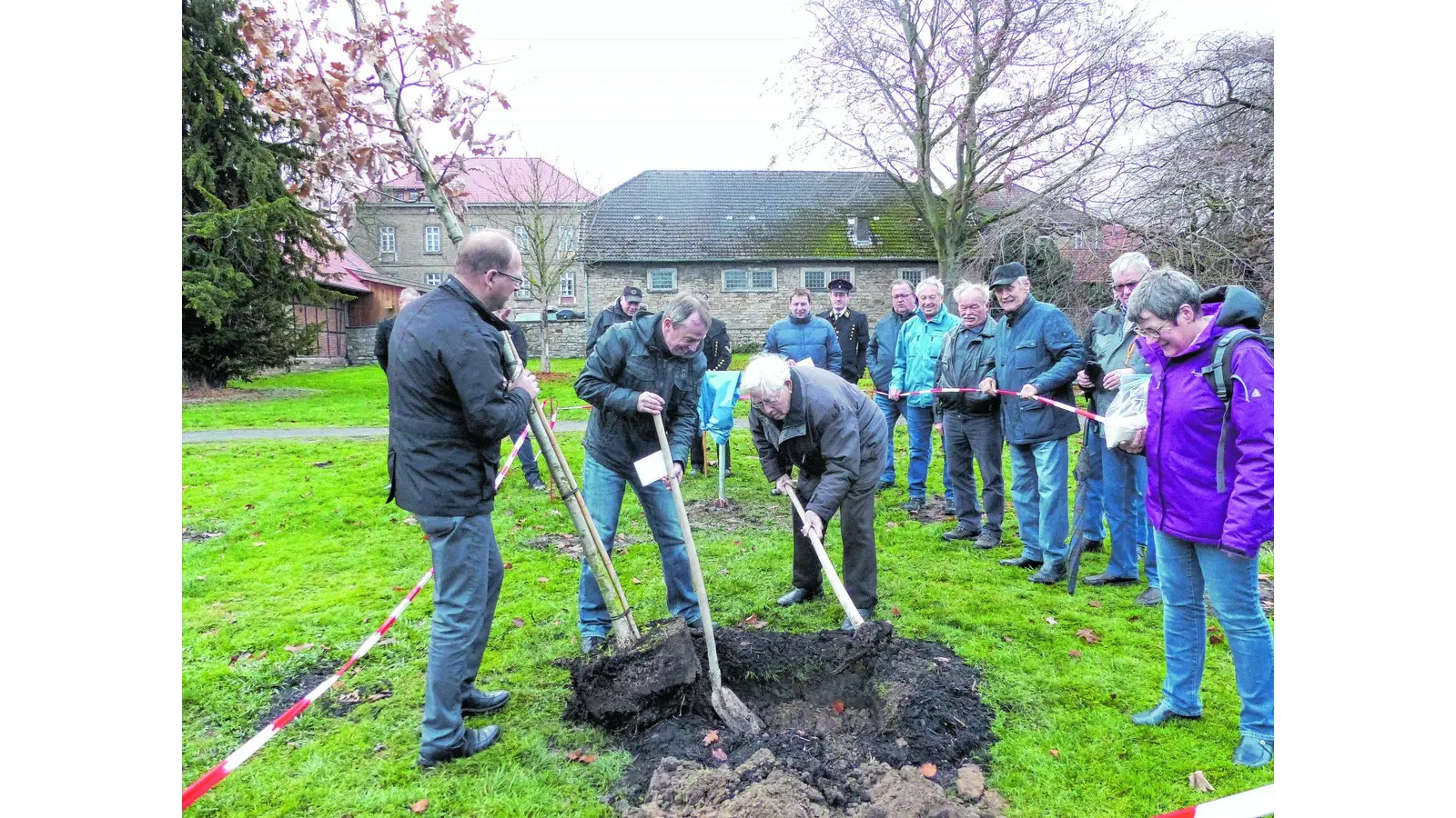Ein Baum für den Jubilar und Holz für Lauenau (Foto: red)