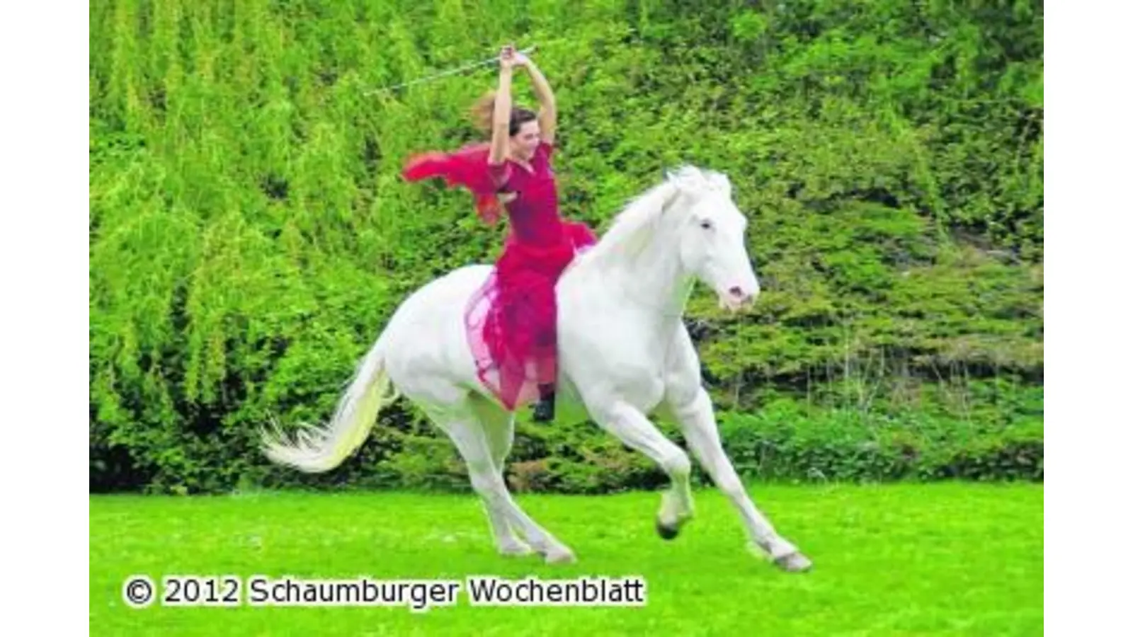 Glanz und Glamour in der Reithalle (Foto: wa)