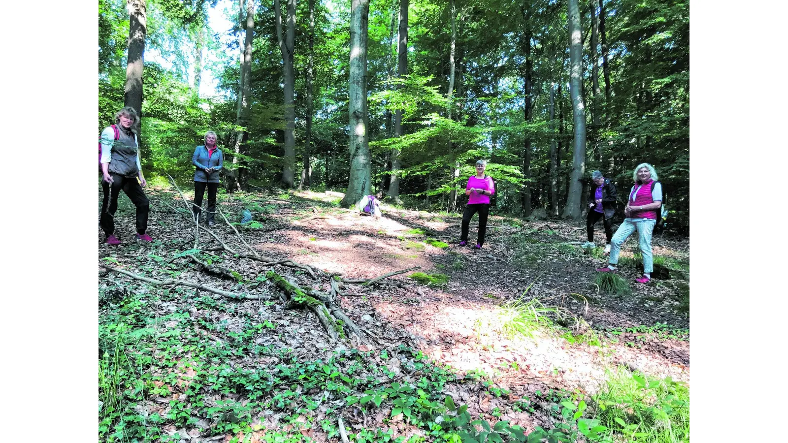 Landfrauen tauchen in Atmosphäre des Waldes ein (Foto: red)