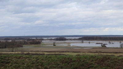 Keine höheren Nährtstoffeinträge trotz hoher Niederschläge und Überschwemmungen. (Foto: wb)