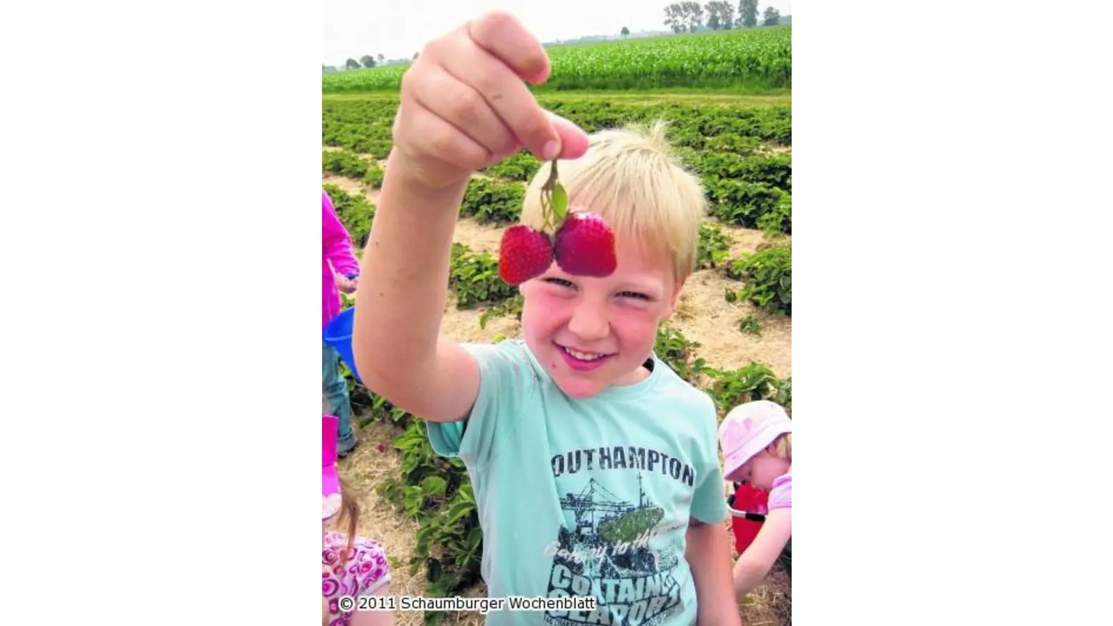 Selbst gepflückte Erdbeeren sind schließlich immer noch die besten (Foto: red)