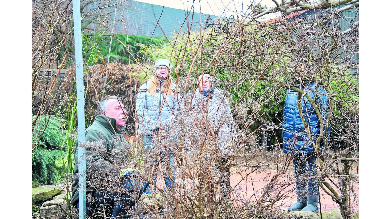 Der richtige Schnitt kann weiterhelfen (Foto: em)
