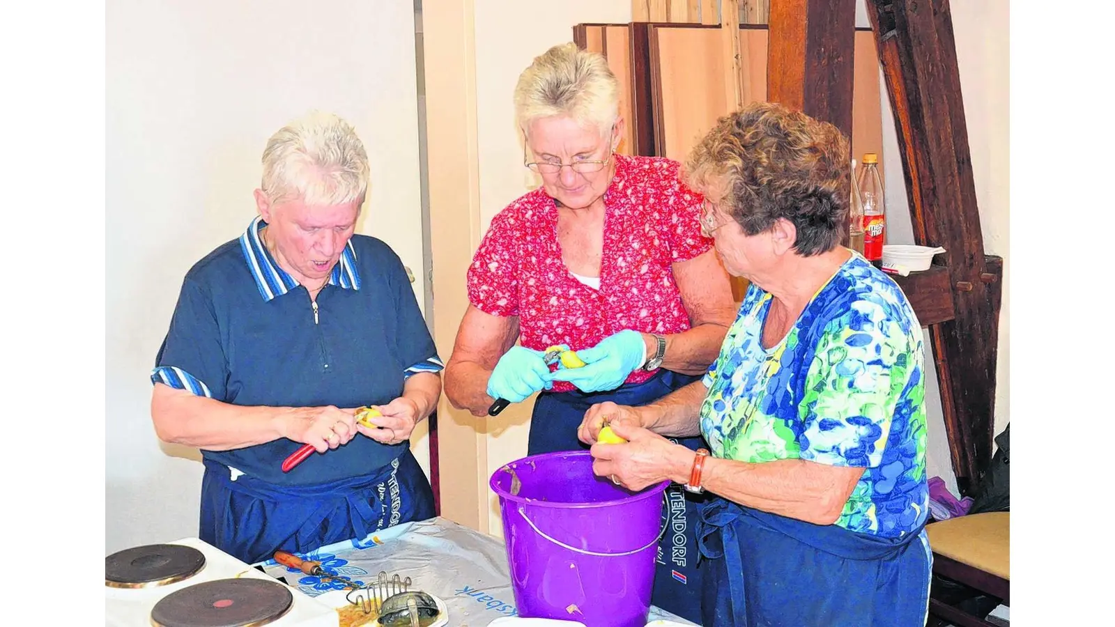 Kartoffelfest auf Hof Gümmer (Foto: bt)