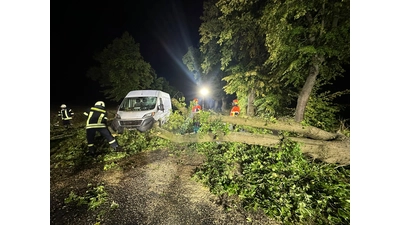 Ein Lieferfahrzeug wurde von einem umstürzenden Baum getroffen. Die Feuerwehr Bad Nenndorf war auf der B442 im Einsatz. (Foto: privat)