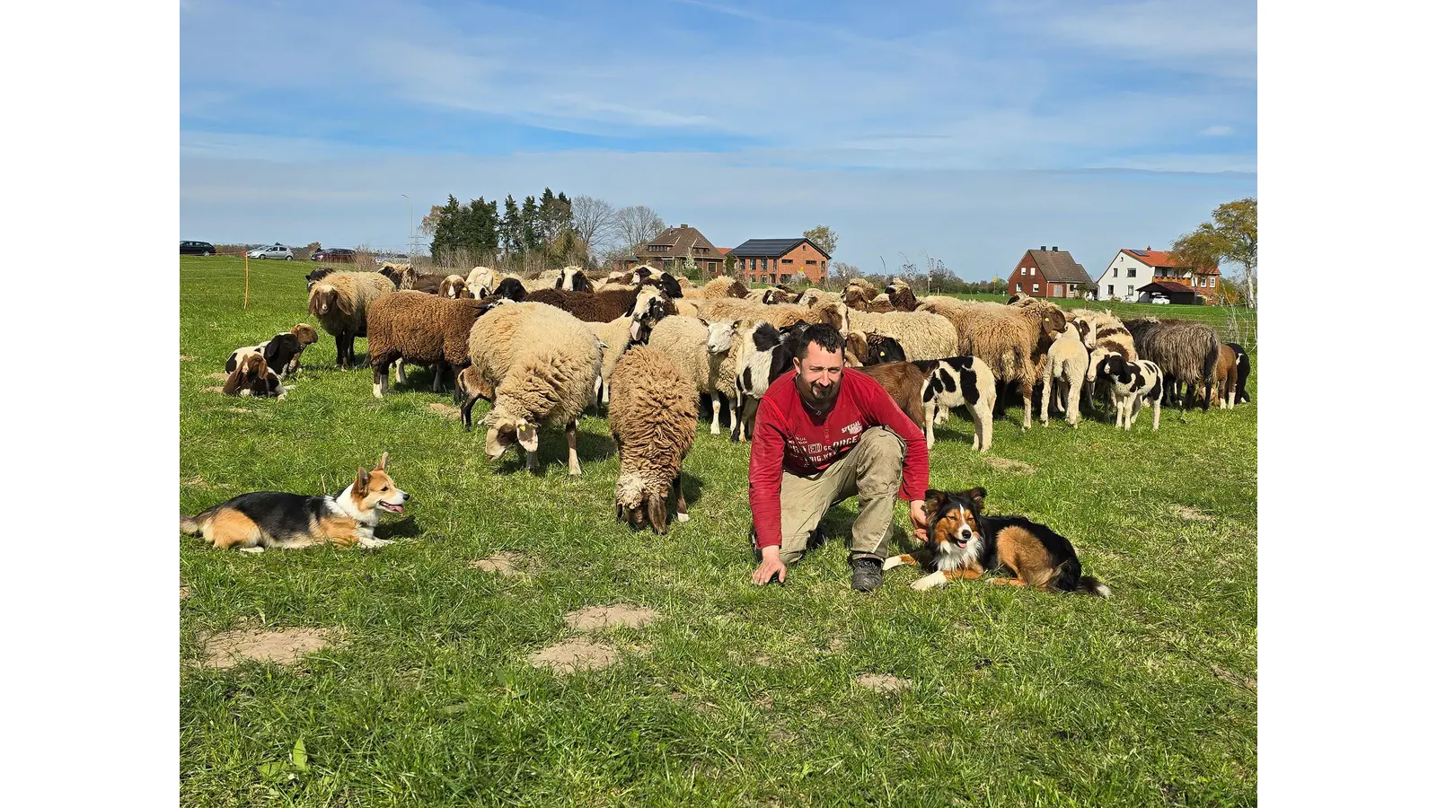Schafzüchter Maximilian Kopp lädt ein. (Foto: jp)