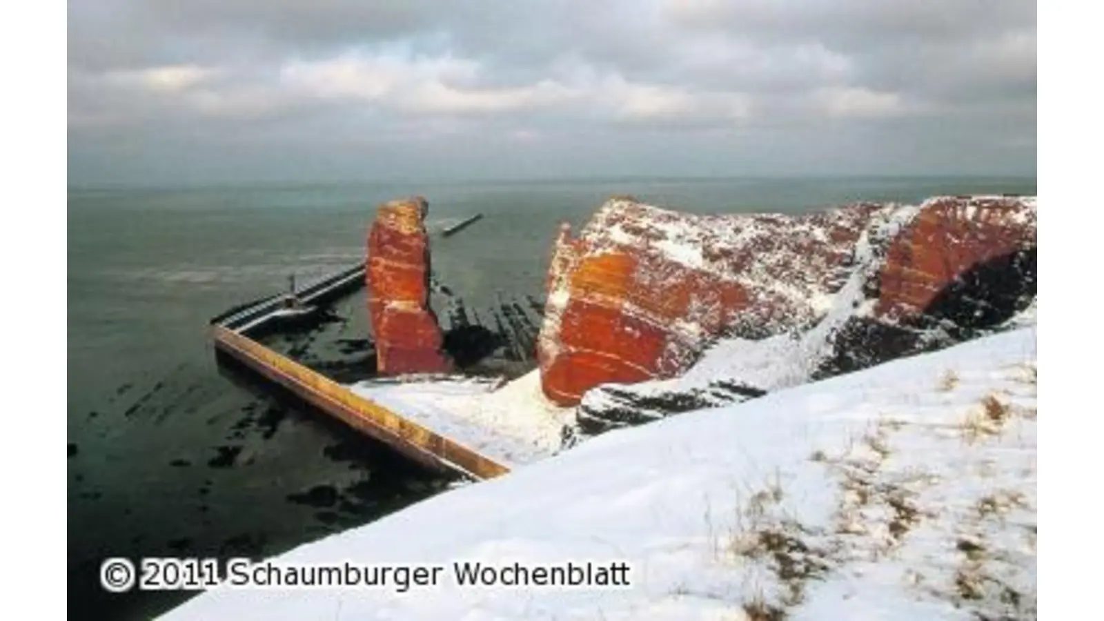 Eine Safari durch Norddeutschland (Foto: red)