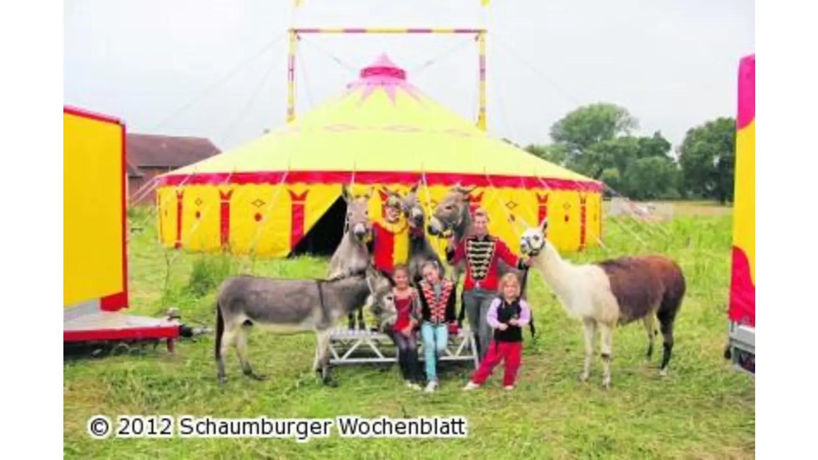 Deutschlands kleinste Ponys bringen ihren ganzen Zirkus mit (Foto: mh)