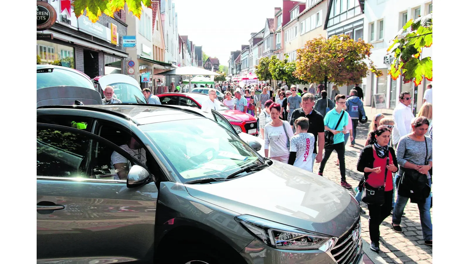 Vom flotten Flitzer bis hin zum robusten Geländewagen (Foto: bb)