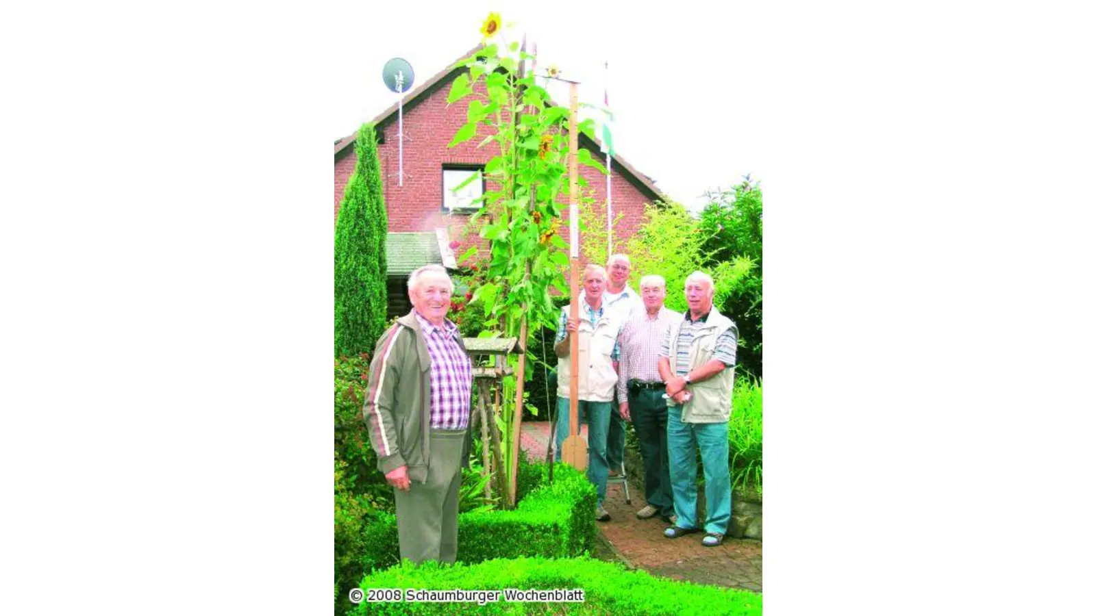 Sonnenblumen-Messung bei Regen (Foto: pd)