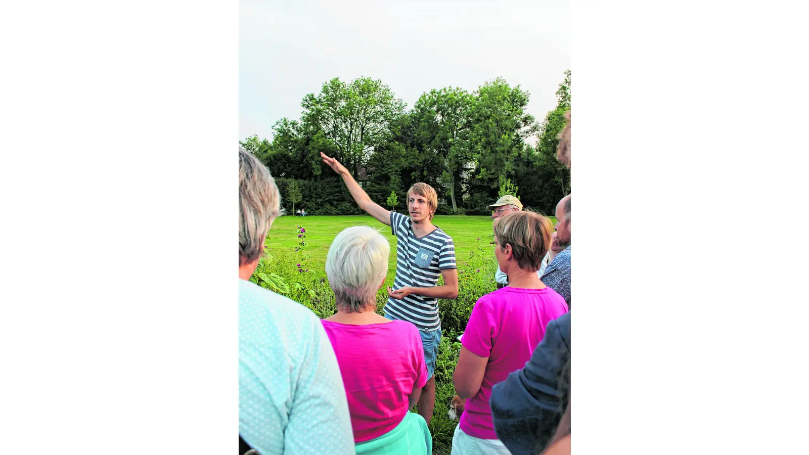 Auch Hummeln legen Eier in fremde Nester (Foto: al)